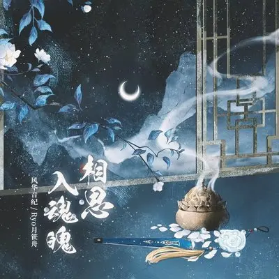 相思入魂魄(DJ细霖版伴奏)封面