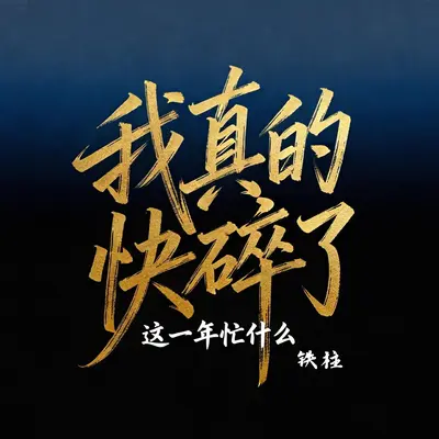 我真的快碎了(这一年忙什么)封面