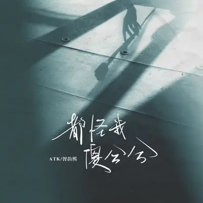 都怪我傻兮兮(伴奏)封面