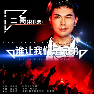 谁让我们是兄弟封面