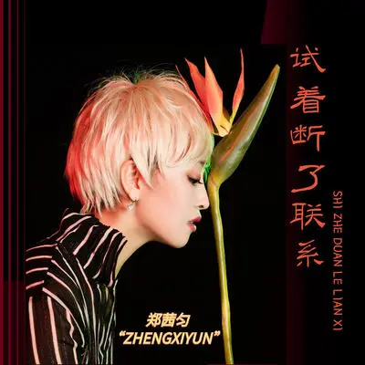 试着断了联系（完整版）封面