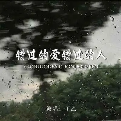 错过的爱错过的人(DJ沈念Remix伴奏)封面