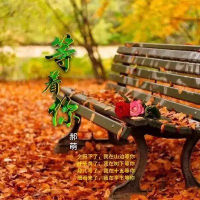 等着你封面