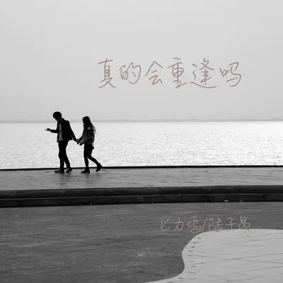 真的会重逢吗（伴奏）封面