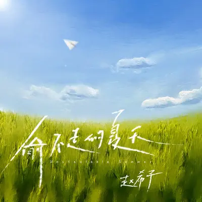 偷不走的夏天（完整版）封面