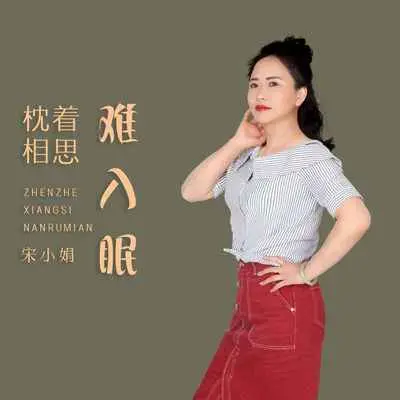 枕着相思难入眠(伴奏)封面