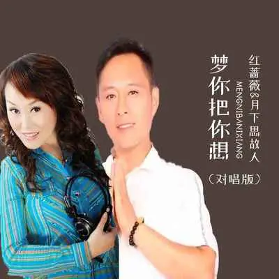梦你把你想(对唱版)封面