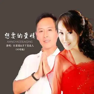 想要的爱情(对唱版伴奏)封面
