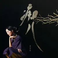 痴儿封面