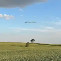 咏春封面