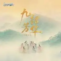 九韶芳华封面