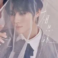 相思锁封面