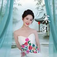 广寒宫封面