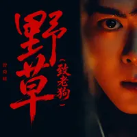 野草（致老狗）封面