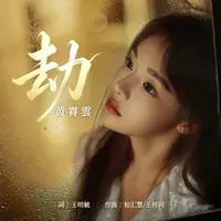 劫封面