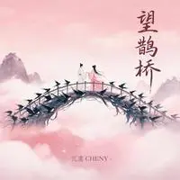 望鹊桥封面