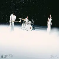 在这里等你封面