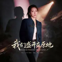 我们盛开在原地封面