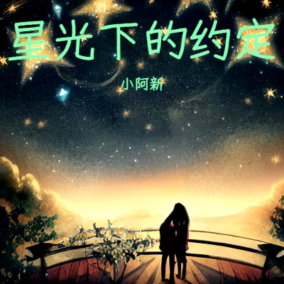 星光下的约定封面