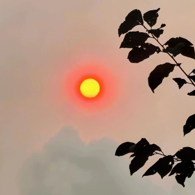 心中的太阳封面