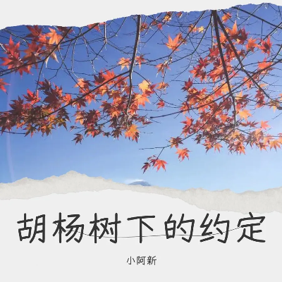 胡杨树下的约定封面