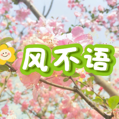 风不语封面