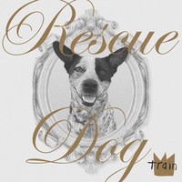 Rescue Dog